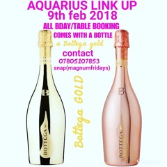 Aquarius Link Up Pt 5 Promo Mix