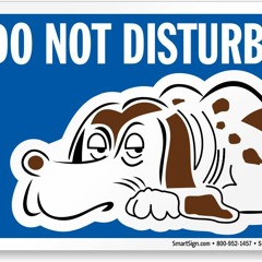 Do Not Disturb