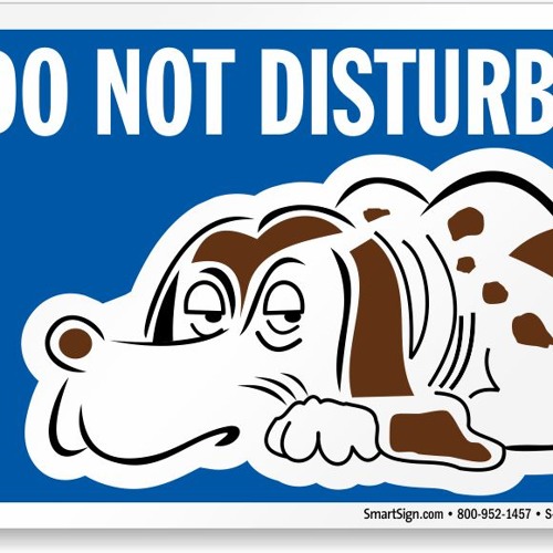 Do Not Disturb
