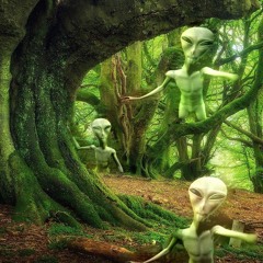 Illegal Aliens Party In The Forest