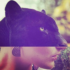 Offering - ABAB & Jeremiah Meece