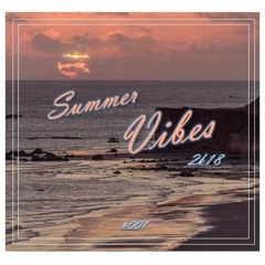 Maximyze @ Summer Vibes  2k18