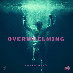 YOUNG MULA X Overwhelming