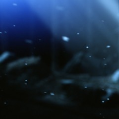 Human
