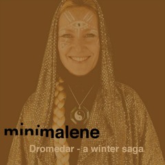 minimalene @ Dromedar Winter Saga Stockholm/ Dec17