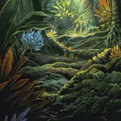 DomNick - Equilibrium