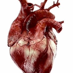 NoiiZ - Deadboii Prod TreeTime