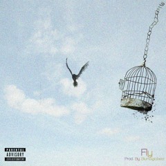 Fly (Prod by BluMajicBeatCo)