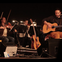 Mein Europa - Extended Version für Band, Streichquartett und Oboe | Michael Mautone live