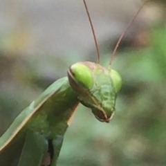 Wet John - Disfrútelo