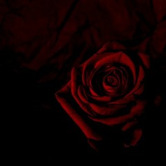 You Never Walk Alone-RYUSERALOVER INSTRUMENTAL