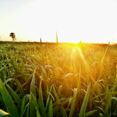 اللهم بك أصبحنا