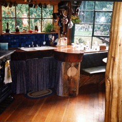 Growing In The Woods