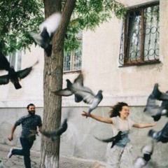 يطير الحمام- محمود درويش