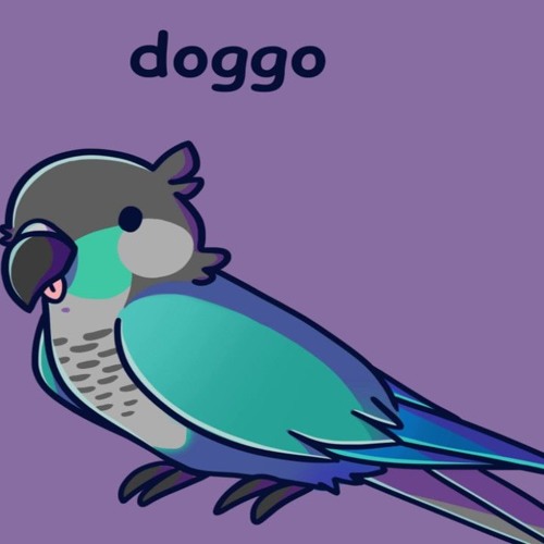 Jaiden animation's bird ari