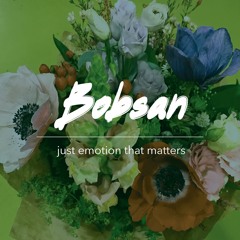 Bobsan - Just Emotion That Matters