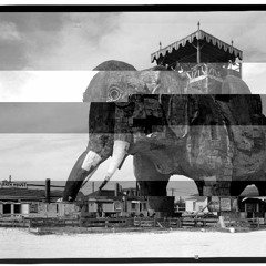 Bite-sized viola quartet