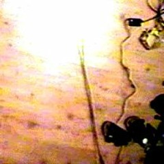 Imp. 091217 Op. 01