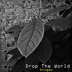 Drop The World ( Original Mix )