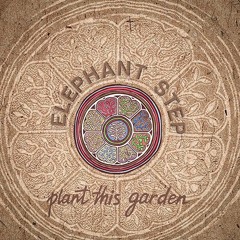 09 Plant This Garden