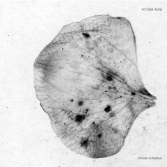 Yotam Avni - "Perlude to Dybbuk" [SA032]
