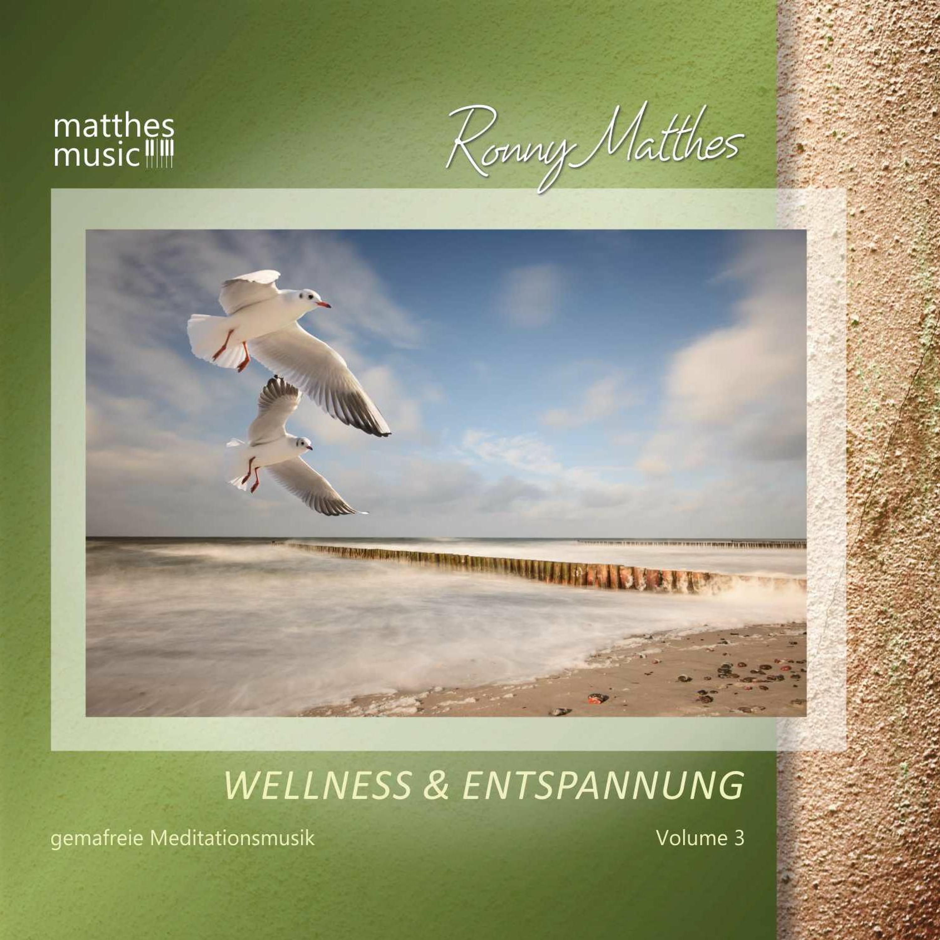 CD: Wellness & Entspannung, Vol. 3 [Gemafreie Entspannungsmusik | Relaxing Royalty Free Music] episode artwork