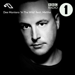 Dee Montero - In The Wild feat. Meliha (Pete Tong BBC Radio 1 Premiere)