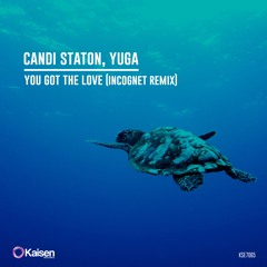 Candi Staton, Yuga - You Got The Love (Incognet Remix)