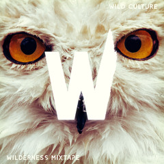 WILDERNESS #01 Mixtape - CHILL