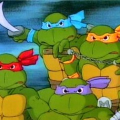 Turtle Power!