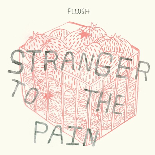 Pllush - Ortega