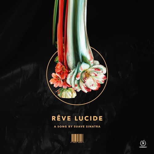 REVE LUCIDE