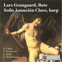 J. S. Bach: Sonata en E-flat major, BWV 1031 - Siciliano