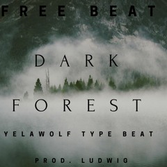 *FREE BEAT*Dark Forest X YelaWolf X Rittz X Type Beat(Prod. Ludwig)(Tagged)