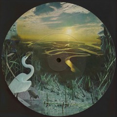 sundrenched x jaga_ // cold fronts