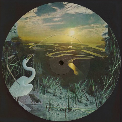 sundrenched x jaga_ // cold fronts