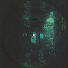 joeshort¸ x sundrenched // auspicious