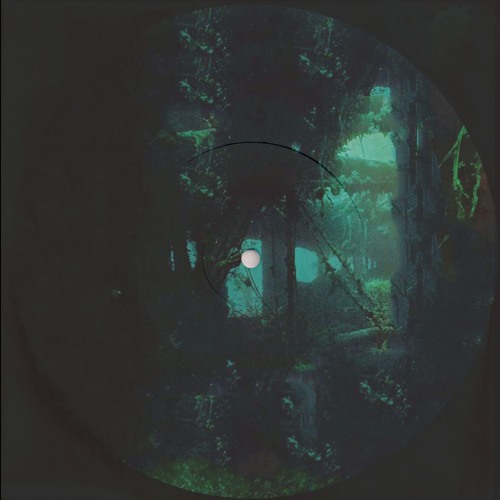 joeshort¸ x sundrenched // auspicious