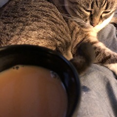 isolated cosmic noise