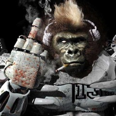 WRONG SIDE SHAKA PONK COVER