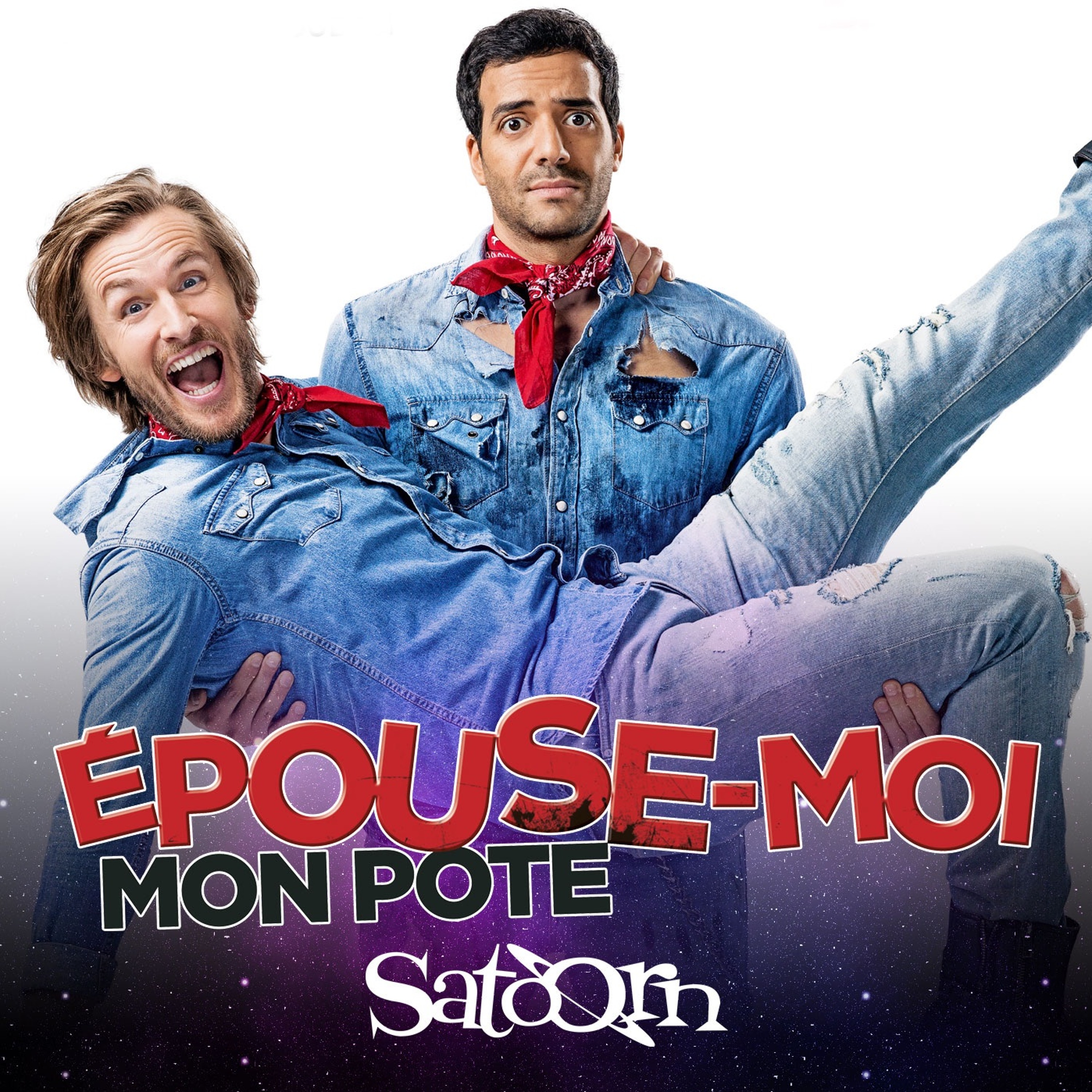 Épouse-moi mon pote