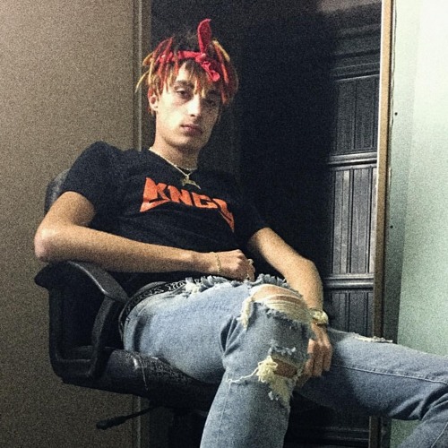 DREFGOLD - CASCOMOMO