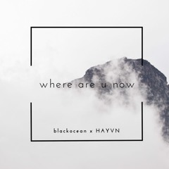 blackocean x HAYVN - where are you now