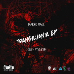04 Makro Male - Transilvania (Prod.Sloth Syndrome)