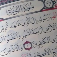 سورة التوبة - مشاري راشد