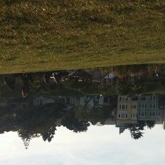 Momma Didn't Raise No Fool