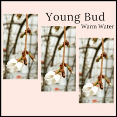 Young Bud