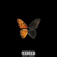 Butterfly Effect(Prod. EthvnJames)