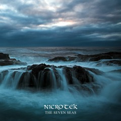 04. Nicrotek - Frozen Forest