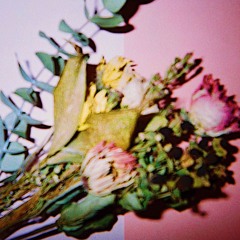 花に嵐 from 1st album "merkmal"